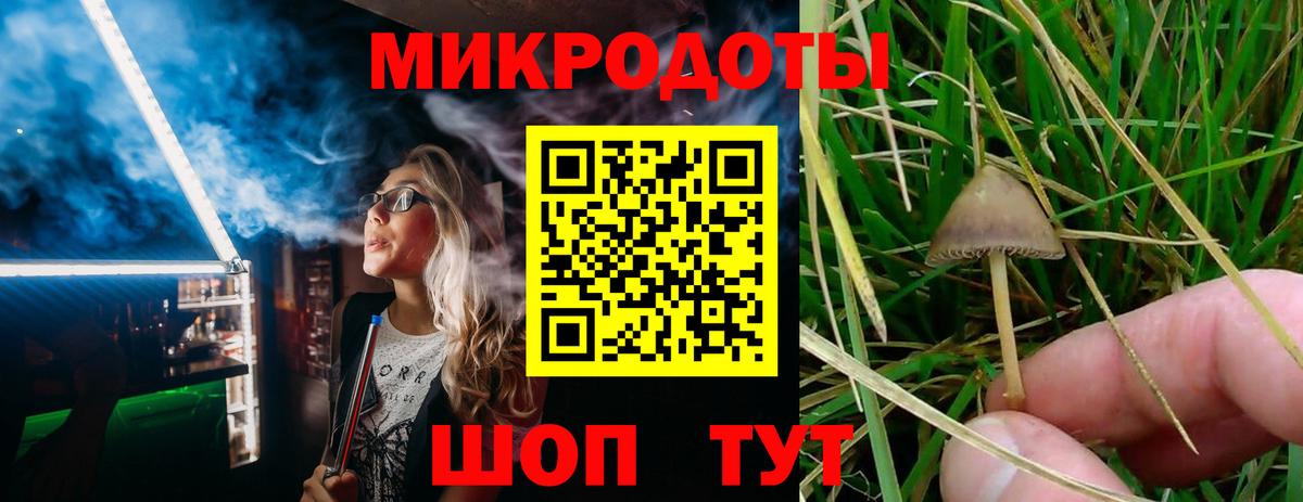 Псилоцибиновые грибы Cubensis Каменск-Шахтинский