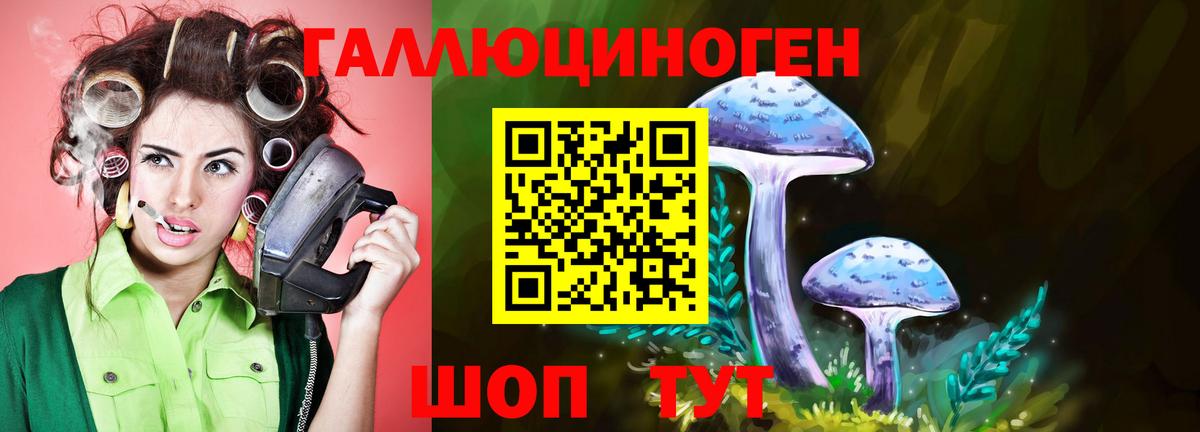 Каменск-Шахтинский  Галлюциногенные грибы мицелий  Вход с VPN 